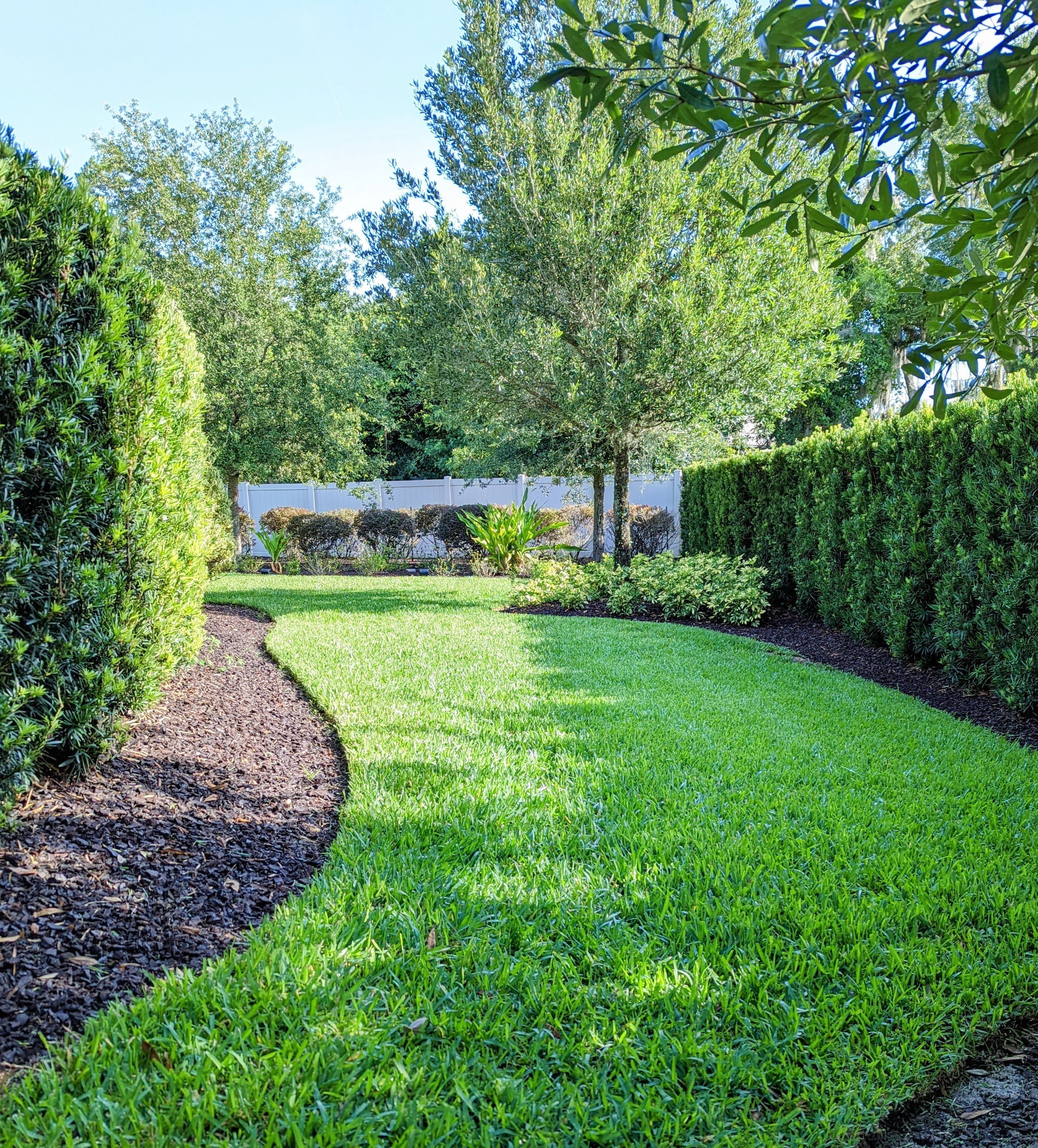 Lush backyard lawn maintenance in Oviedo, Florida with curved mulch beds and expertly trimmed hedges